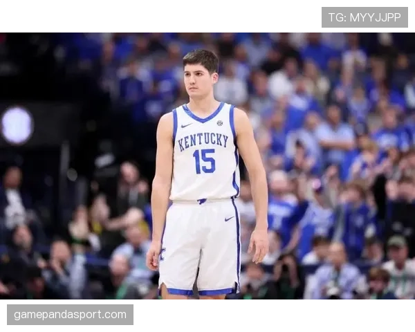 里德·谢泼德挡拆制造大个换防 较上季组织牵制力提升 里德·谢泼德挡拆制造大个换防 较上季组织牵制力提升